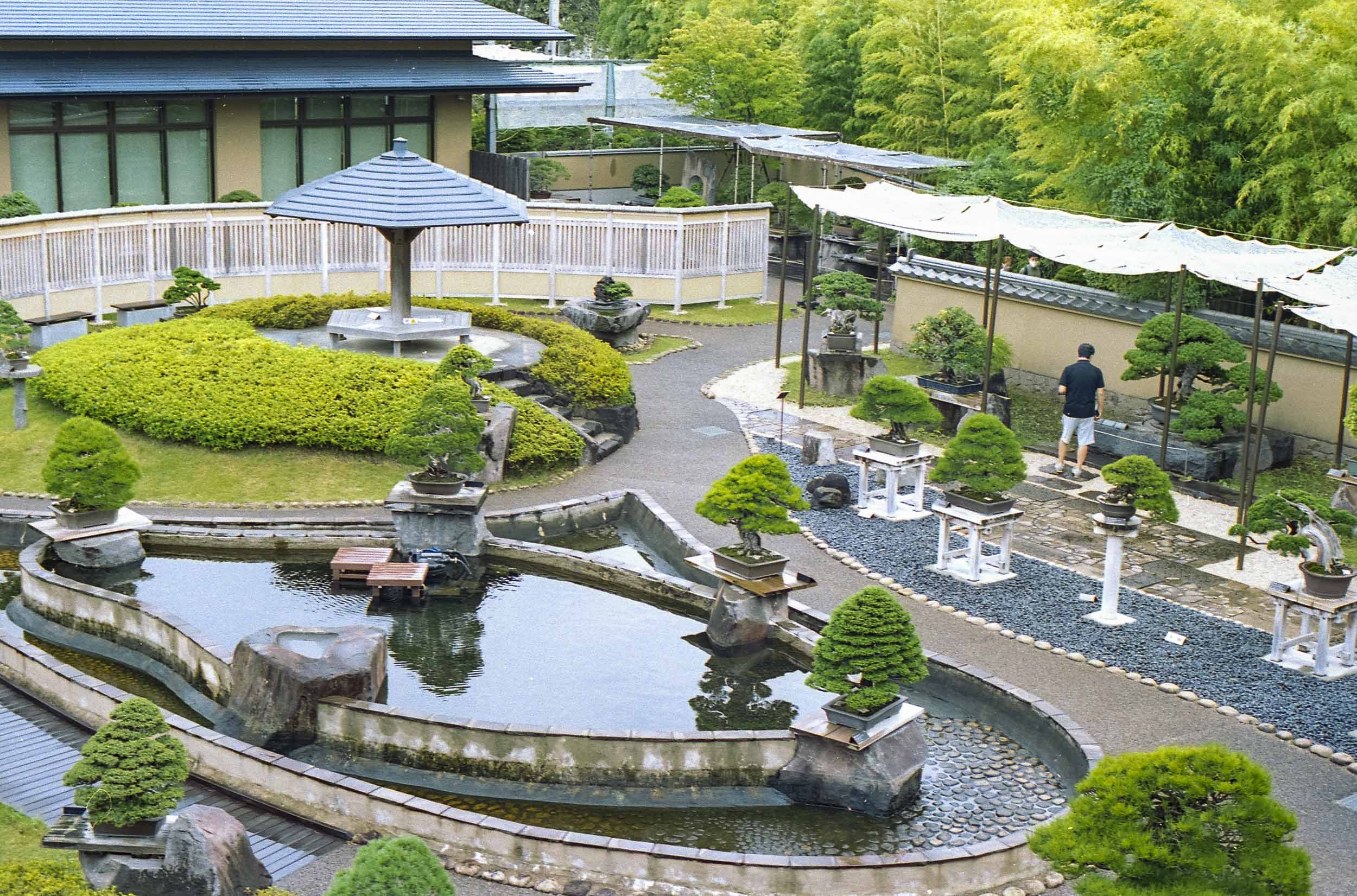 🌳 오미야 분재 미술관(오미야 본사이 비주츠칸) 이미지 6